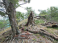 irazu062_thumb.png