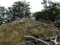 irazu063_thumb.png
