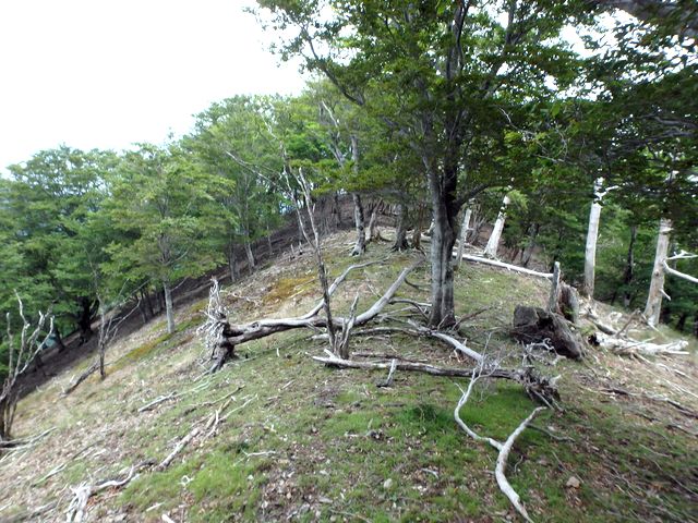 irazu067.jpg