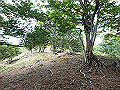 irazu069_thumb.png