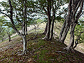irazu070_thumb.png