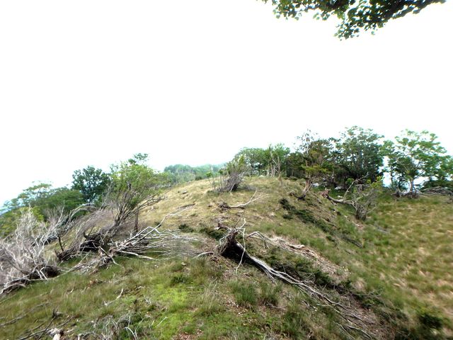 irazu071.jpg