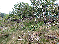 irazu073_thumb.png