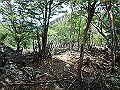irazu077_thumb.png