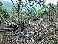 irazu087_thumb.png