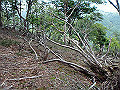 irazu088_thumb.png