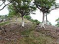 irazu091_thumb.png
