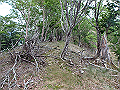 irazu094_thumb.png
