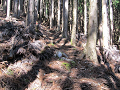 isidate032_thumb.png