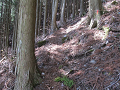 isidate053_thumb.png