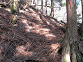 isidate056_thumb.png