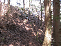 isidate058_thumb.png