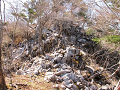 isidate078_thumb.png