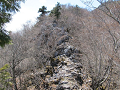 isidate080_thumb.png