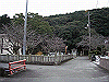 kaji07_thumb.png