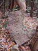 kaji24_thumb.png