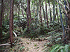 kaji25_thumb.png