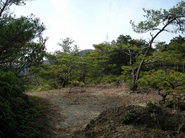 kaji43.jpg