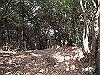 kaji55_thumb.png