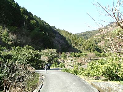 kaku03.jpg