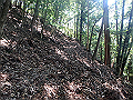 tairyu032_thumb.png