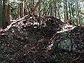 tairyu046_thumb.png