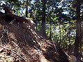 tairyu052_thumb.png