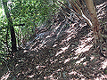 tairyu057_thumb.png