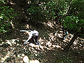 tairyu066_thumb.png