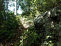 tairyu069_thumb.png