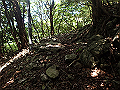 tairyu081_thumb.png