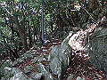 tairyu084_thumb.png