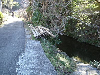 myou06.jpg
