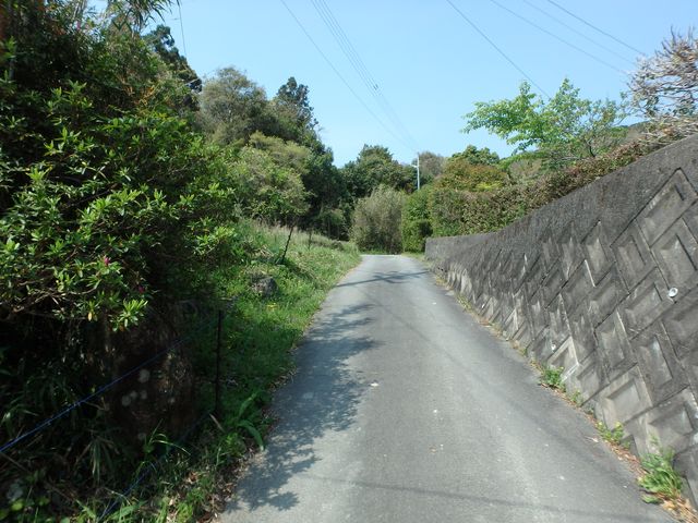 myoujin016.jpg