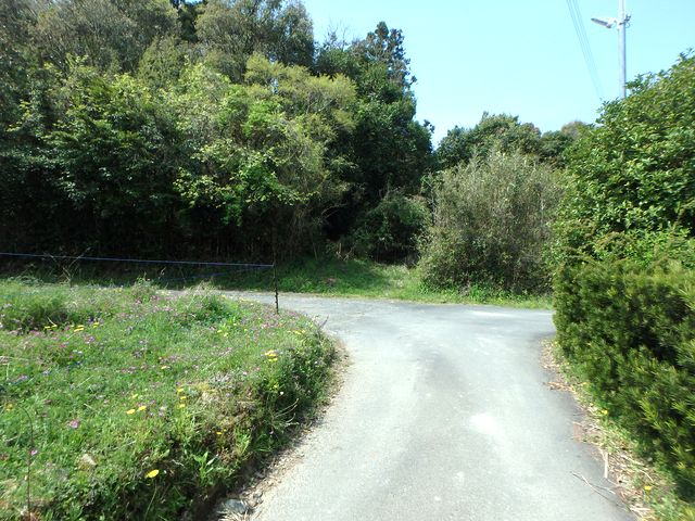 myoujin017.jpg