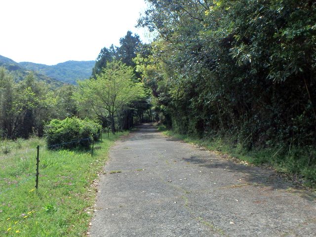 myoujin018.jpg