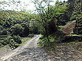 myoujin023_thumb.png