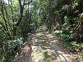 myoujin025_thumb.png