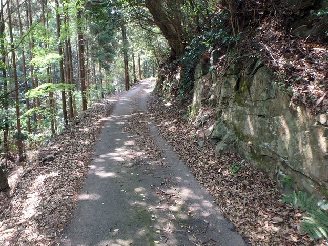 myoujin026.jpg