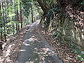 myoujin026_thumb.png