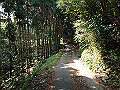 myoujin027_thumb.png