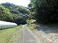 myoujin029_thumb.png