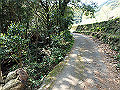 myoujin031_thumb.png