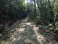 myoujin038_thumb.png
