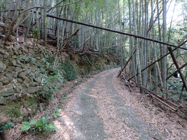 myoujin039.jpg