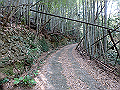 myoujin039_thumb.png