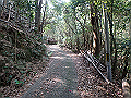 myoujin040_thumb.png