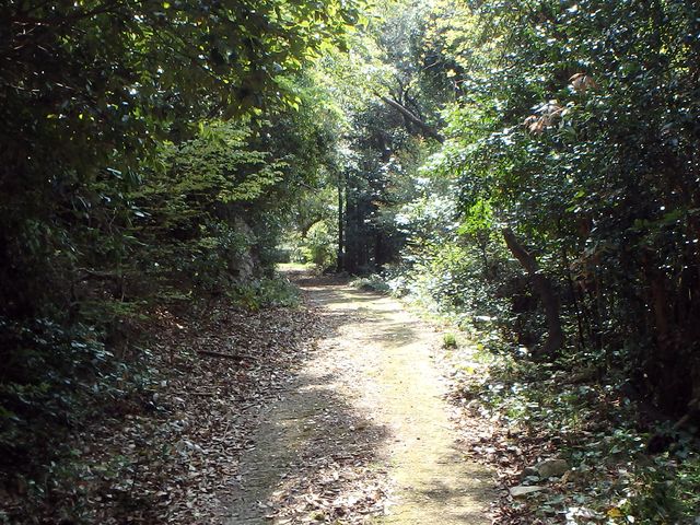 myoujin044.jpg