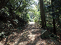 myoujin045_thumb.png