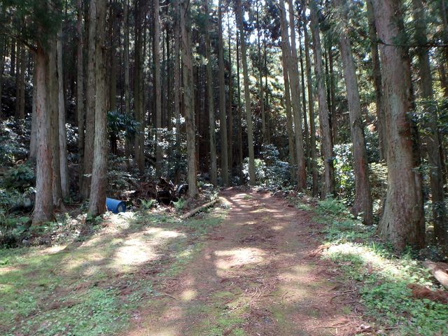 myoujin047.jpg